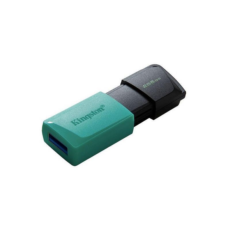Памет USB Kingston DTXM 256GB Изображение