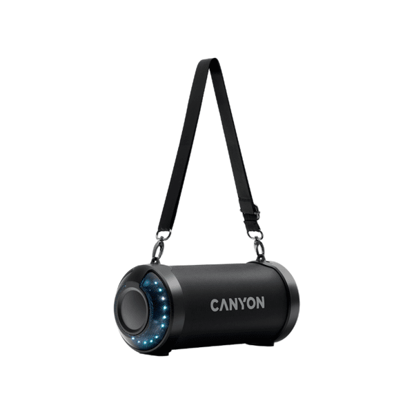 Bluetooth колонка Canyon CNE-CBTSP7 Изображение