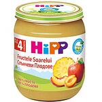 HiPP organic, пюре от слънчеви плодове, 4+ месеца, 125 гр.