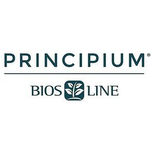 Principium