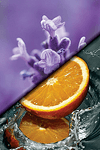 Lavender & Orange