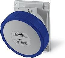 Contacto industrial 2P+E 32 A 200-250 V IP66, 6h serie Optima montaje en panel 84x106 mm Scame-418.3263 azul/gris