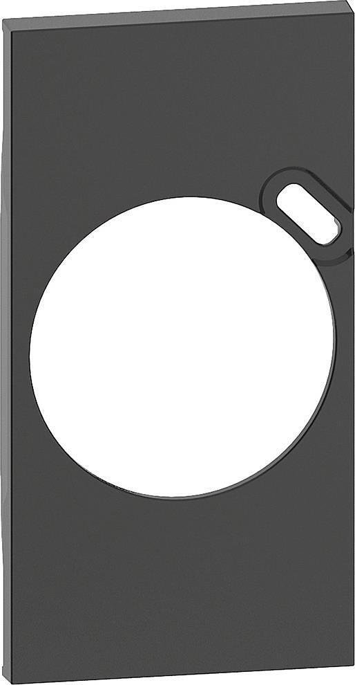 Frontplatte für französischen Standard-Stecker mit USB Typ C 2 Mod. Farbe Schwarz Living Now Bticino - KG62