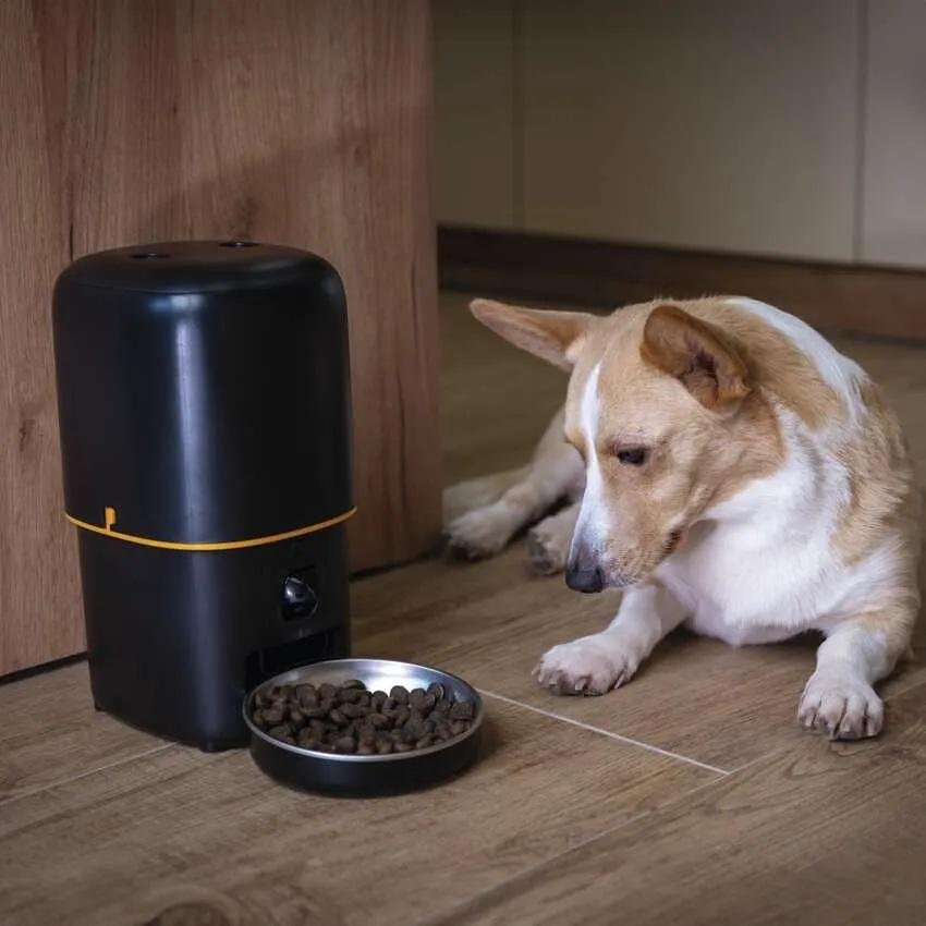 Pet Feeder with Camera 2MP Wi-Fi GoSmart EMOS