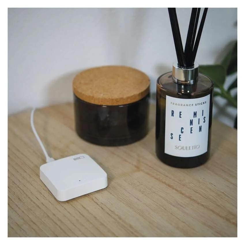 Hub de inicio Smart gateway IP-1000Z ZigBee GoSmart EMOS