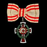 Austro-Hungarian Red Cross Medal