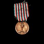 Italy WWI bronze enemy medal