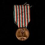 Italy WWI bronze enemy medal