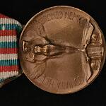 Italy WWI bronze enemy medal