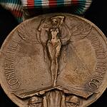 Italy WWI bronze enemy medal