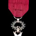 Belgium medal Order of the Crown