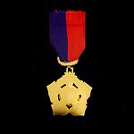 France, National Association of Musicians Medal FR000019