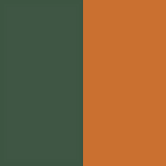 Arctic Green/Spicy Orange