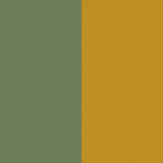 Green/Mustard Yellow