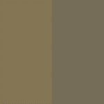 Savanna/Light Olive