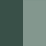 Deep Patina/Misty Green