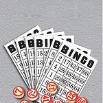 Настолна игра Bingo съдържаща карти, маркер и чипове