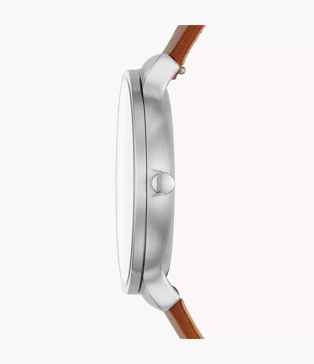 Мъжки Часовник Skagen SKW6433