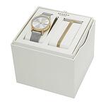 Сет Skagen SKW3153SET