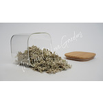 Oakmoss | Oakmoss Herb | Evernia prunastri