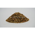 Patience Dock Seed | Rumex Patientia