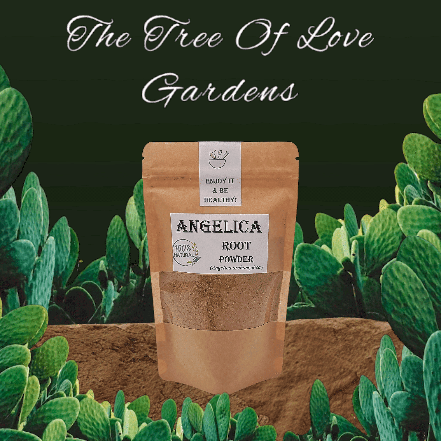 Angelica Root Powder | Radix Archangelicae | Natural Herbs | Dried Herbs | Botanical