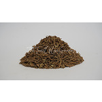 Wood Betony Root | Stachys officinalis | Wild-Crafted | Stachys betonica | Hedge Nettle | Natural Herbs