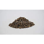 Comfrey Root |  Symphytum officinale