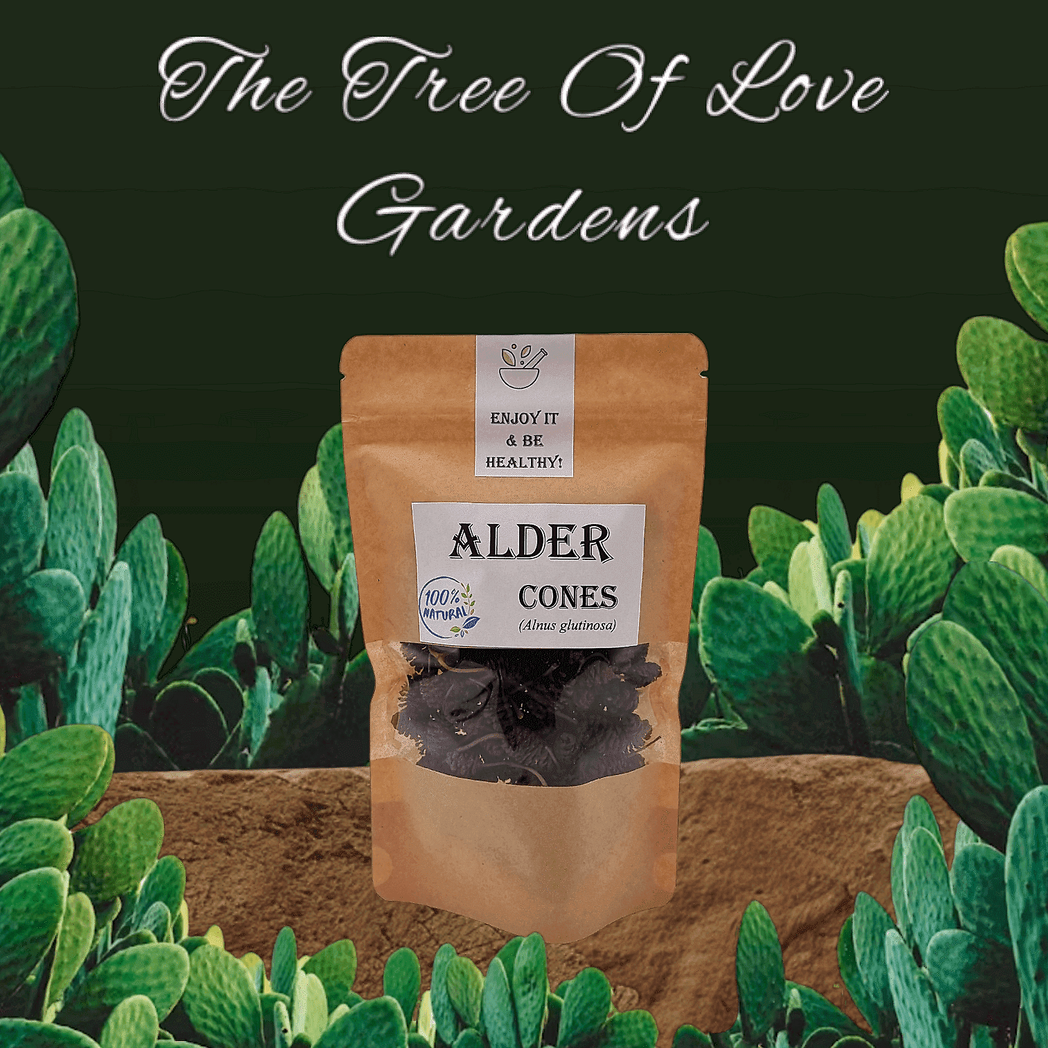 Alder cones | Alnus glutinosa | Wildcrafted Organic