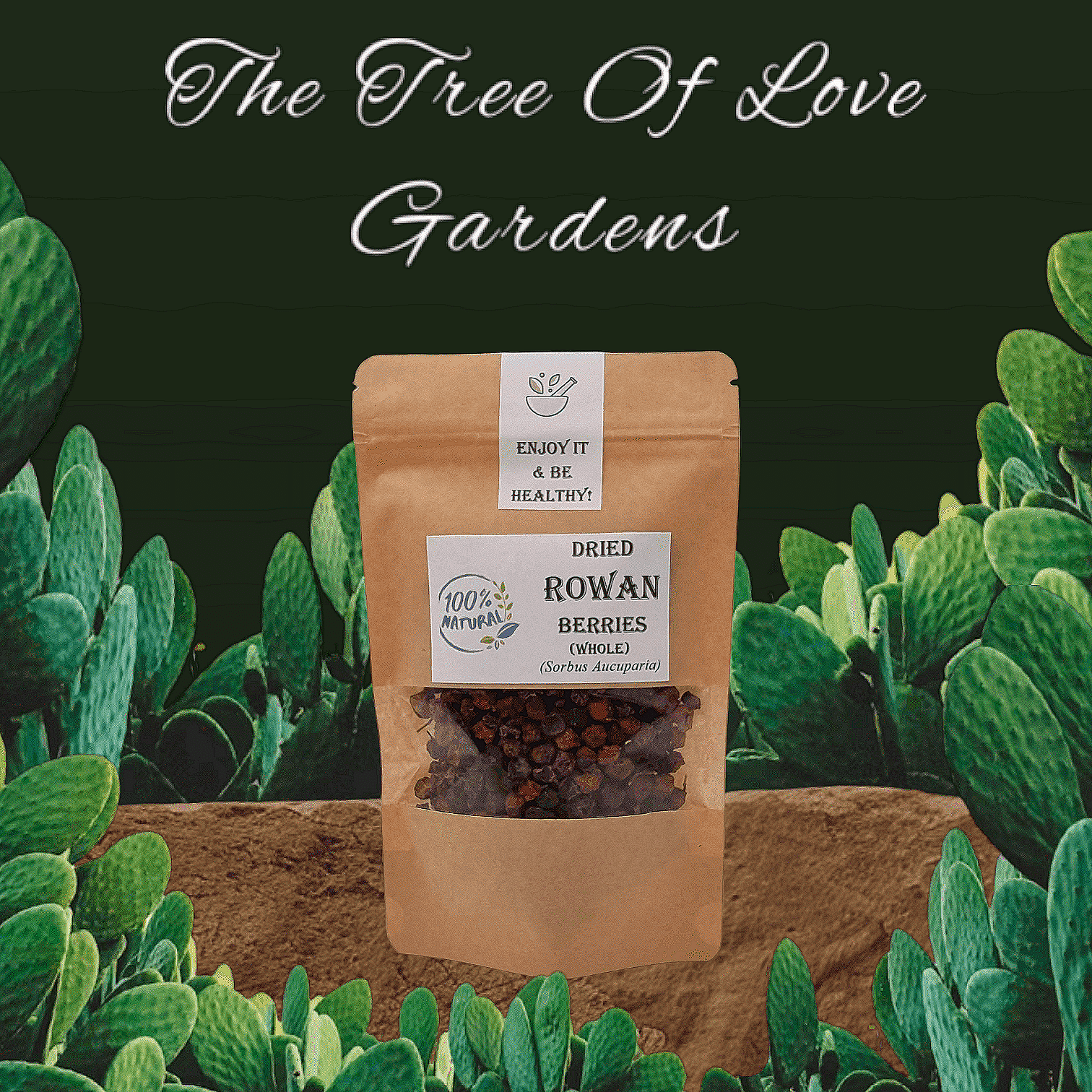 Rowan Berries | Wildcrafted Organic  Whole Dried  Mountain Ash | Whole  Rowan Berries | Sorbus Aucuparia