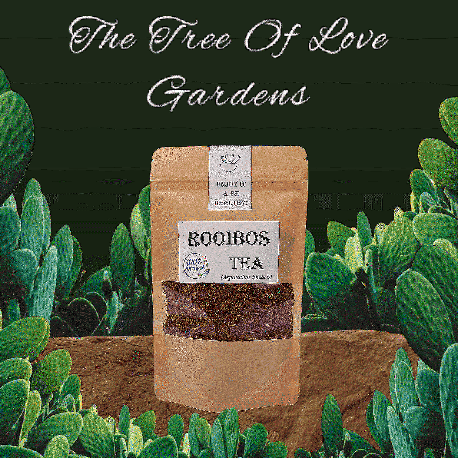 Rooibos Tea | Red Rooibos Tea | Aspalathus linearis