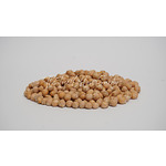 Organic Garbanzo Bean Seeds - Heirloom Seeds, Chickpea Seeds, Bush Bean, Microgreens, Sprouting Seeds, Hummus