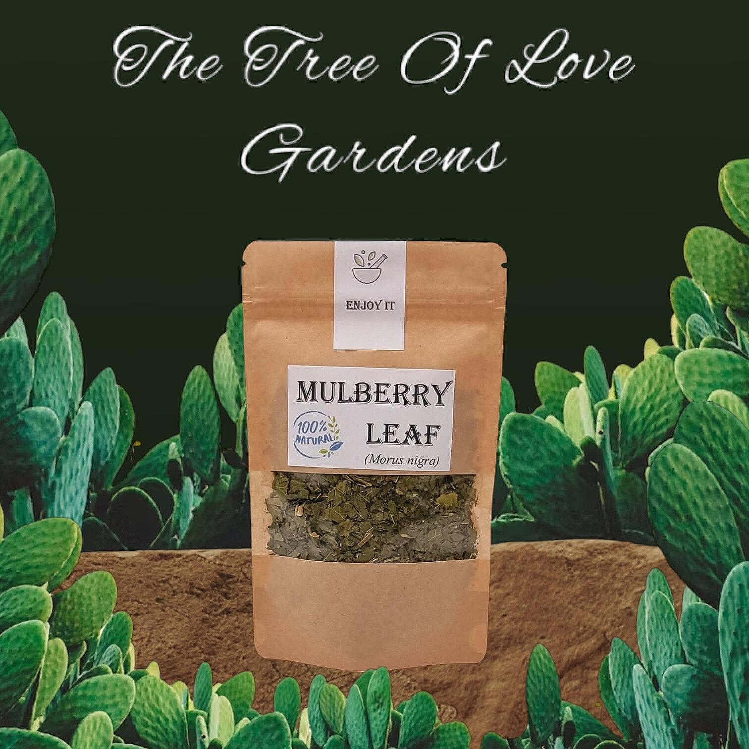 Mulberry Leaf | Mulberry Leaf Tea