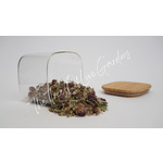 Red Clover Blossom | Wildcrafted Organic | Red Clover Tea | Trifolium Pratense