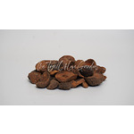 Kola Nuts | Cola Nuts | Cuts | Dried | Cola Nut Seeds - Cola Acuminata