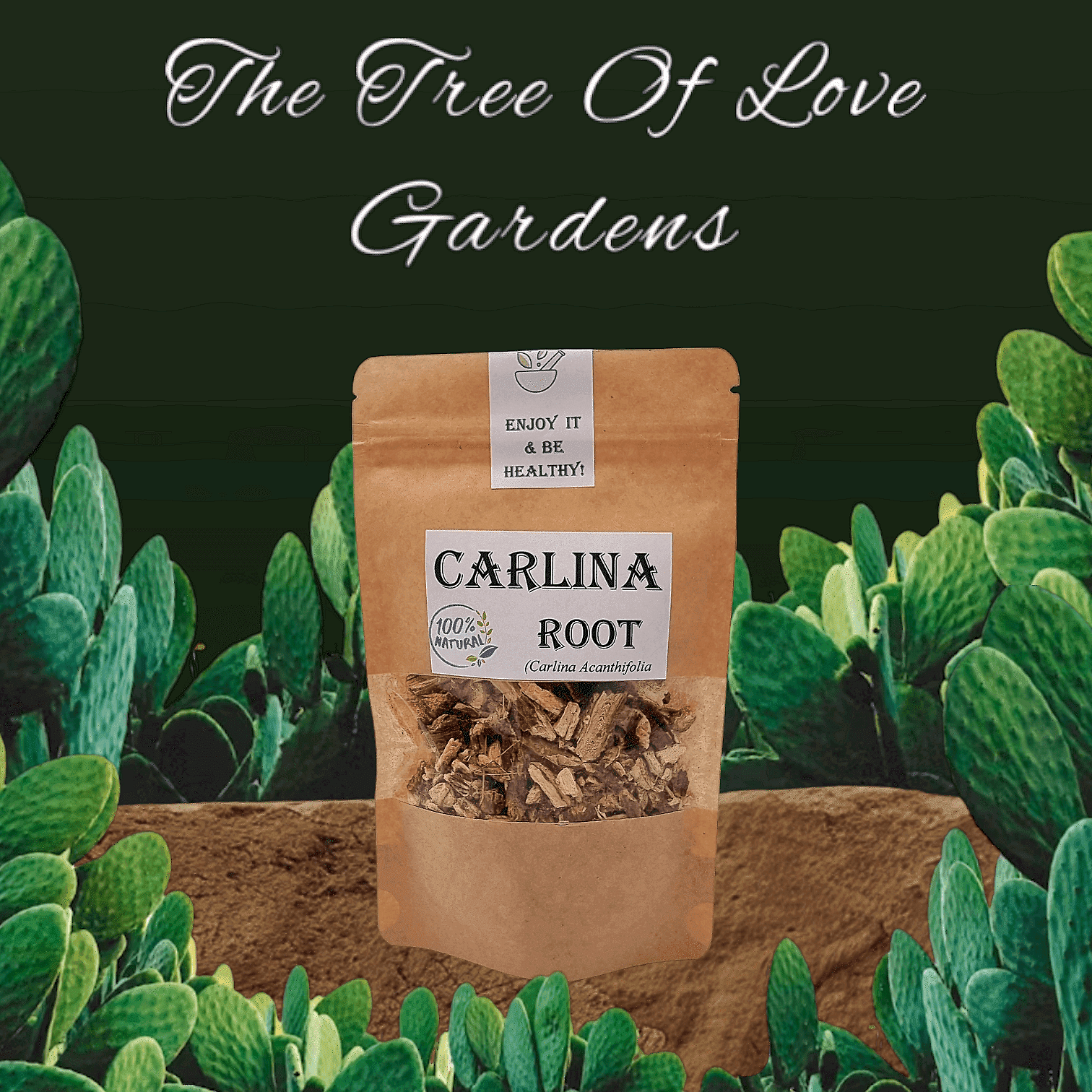 Carlina Root | Carlina Acanthifolia | Carlina Root Tea | Herbal Products | Organic Dried Bulk Herb