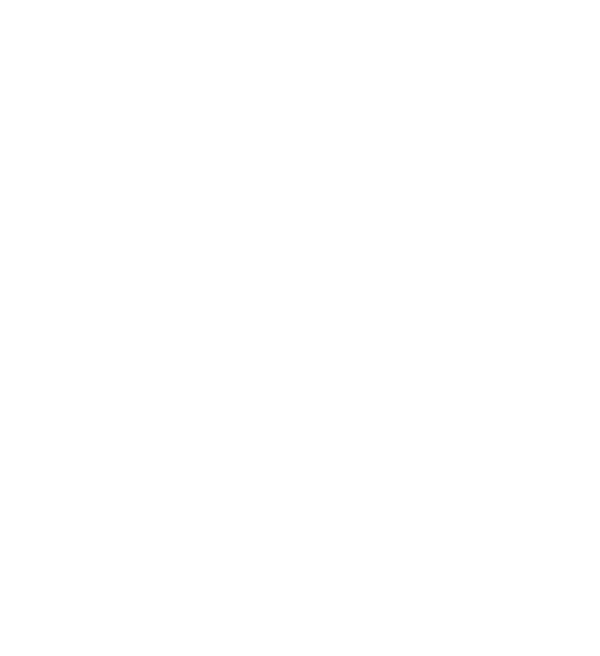 Лого на куриер Еконт