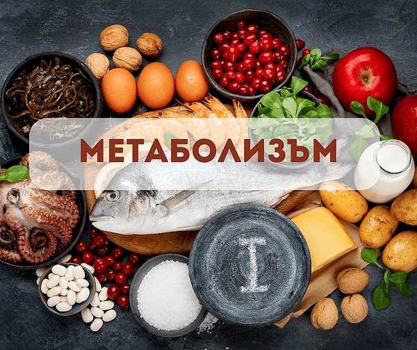 Метаболизъм : Как работи?