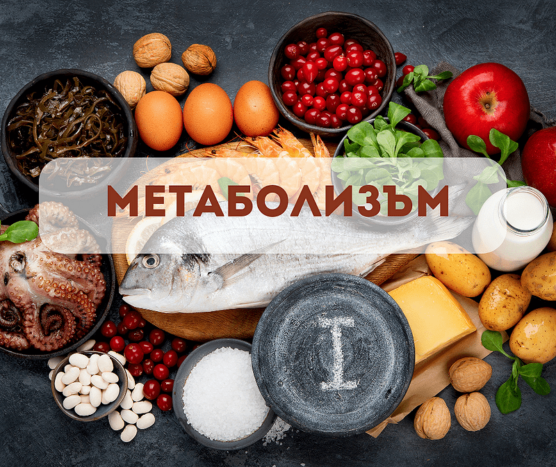 Метаболизъм : Как работи?