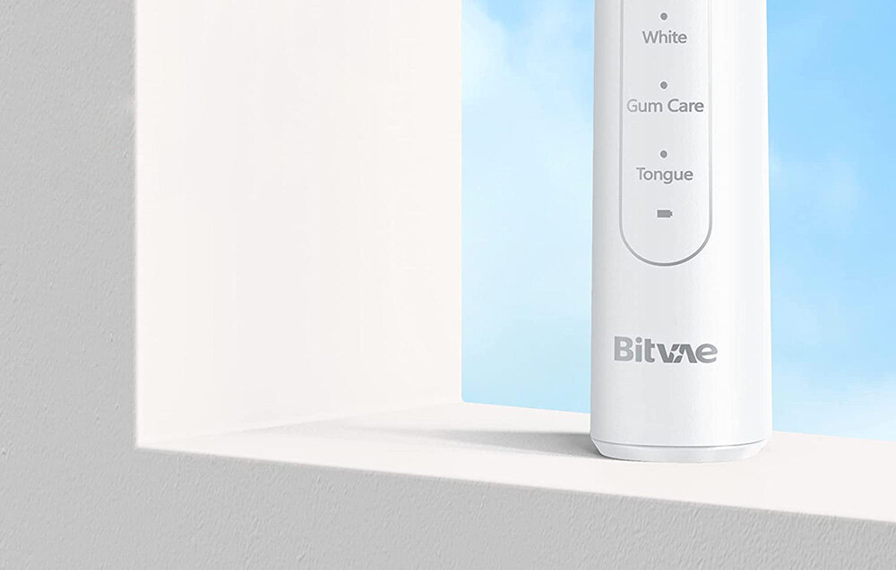 BITVAE/R2-Whiteheadcase/8