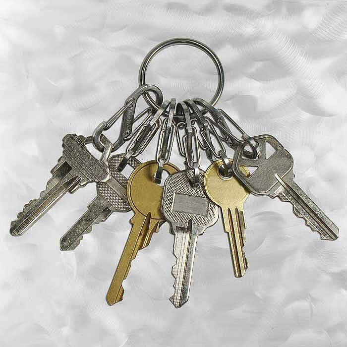 Карабинер Nite Ize -  S-Biner KeyRing - стоманен