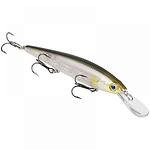 Воблер Strike King KVD 300 Jerkbait Clearwater Minnow – 12см / 17гр