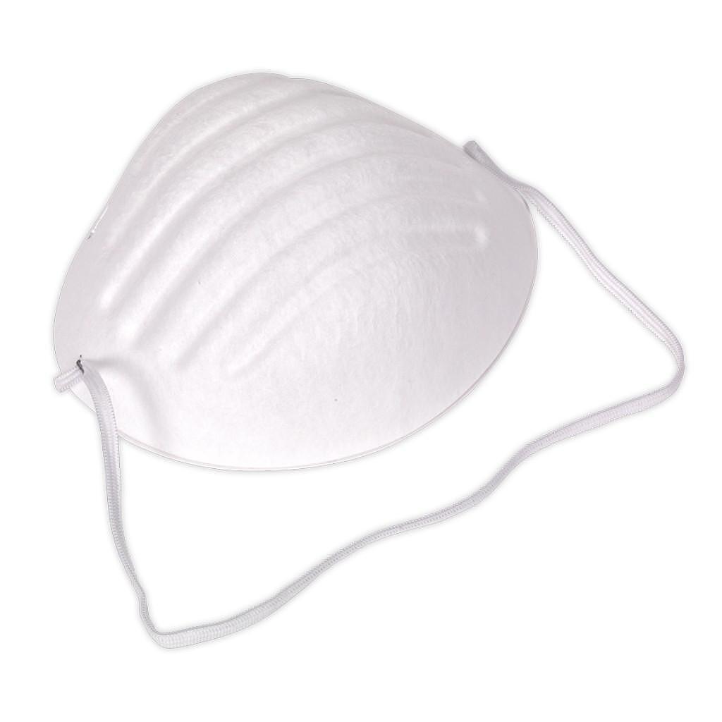 Masca pentru vopsitorie