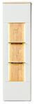 Стенен панел със стъклени рафтове Самбука светло сив мат, дъб евоук и златен харбор