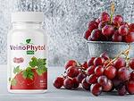 VeinoPhytol Pro - хранителна добавка за добро кръвообращение