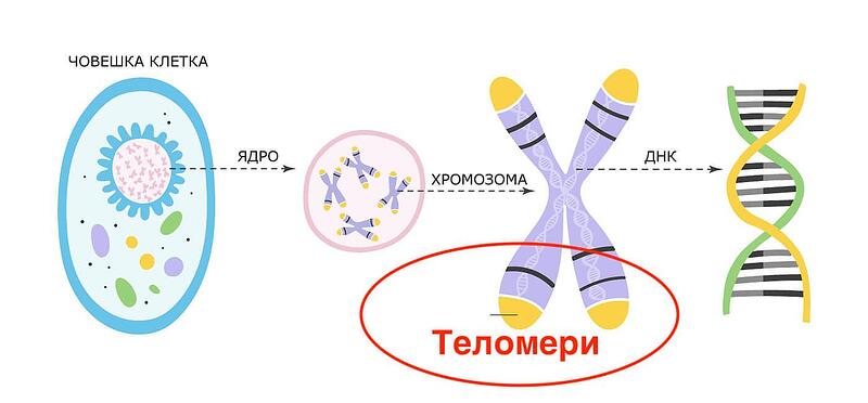 dolbozmey?? [лотерея ??] | Кончелыга какая-то хуй знает | ВКонтакте