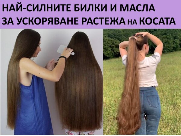 Шампоан за бърз растеж на косата! Как да използваме шампоана за растеж на косата правилно, за да има ефект? Конски шампоан или билков шампоан за бърз растеж да избера? Най-силните билки и мас