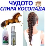 konski-shampoan-s-bilki-КОНСКА ТЕРАПИЯ  СТОП КОСОПАД С БИЛКИ– билково лечение на косопад