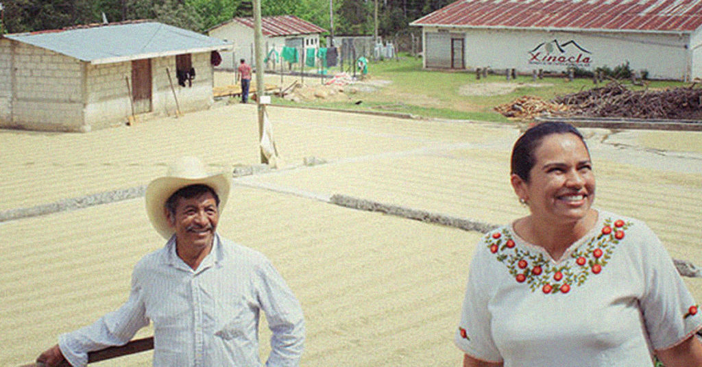 DABOV-SPECIALTY-COFFEE-FINCA-EL-PUENTE-MARYSABEL-CABALLERO-1200x628-01