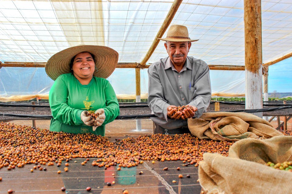 farm-workers-fazenda-paraiso